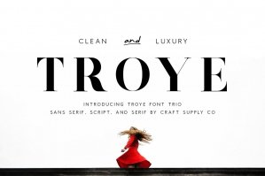 Troye Font Trio - Clean and Luxury