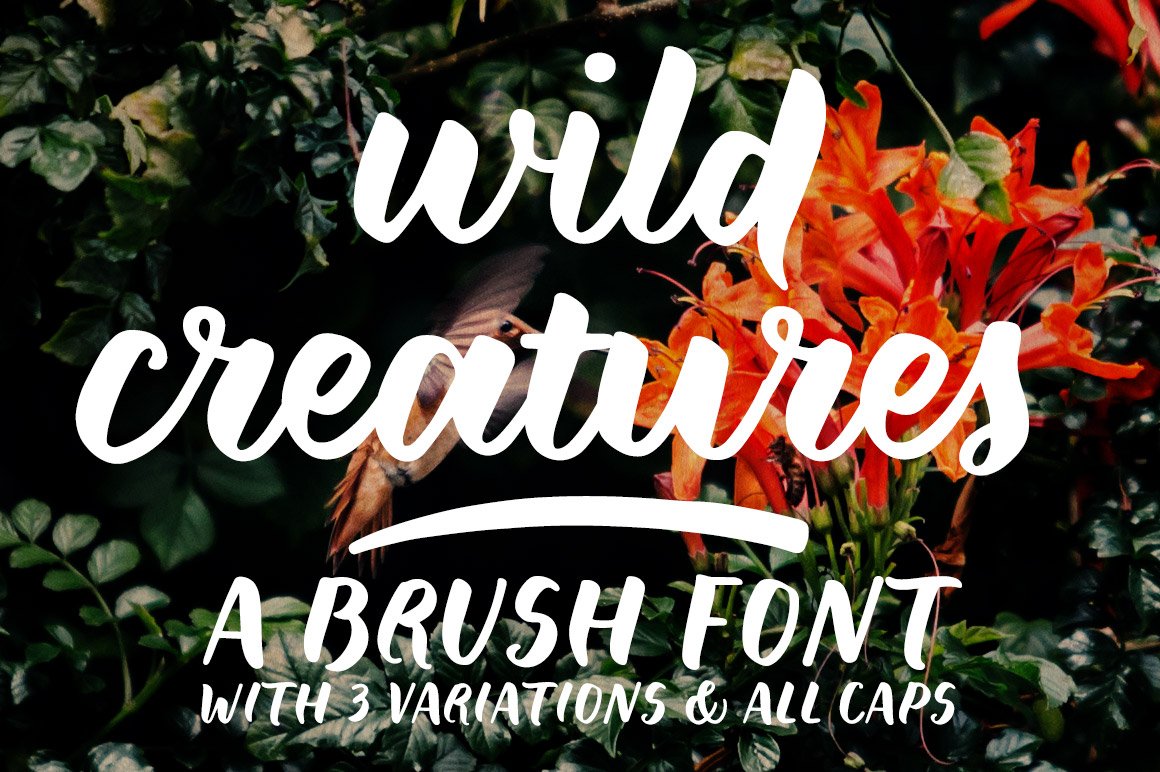 Wild Creatures Brush Font