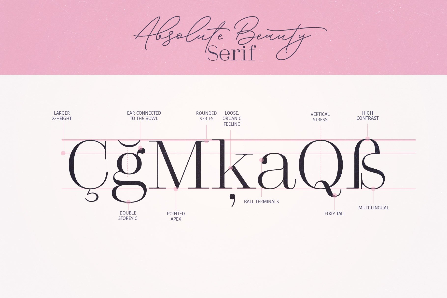Bundle of 6 Fonts - The Safari Collection by Jackie G