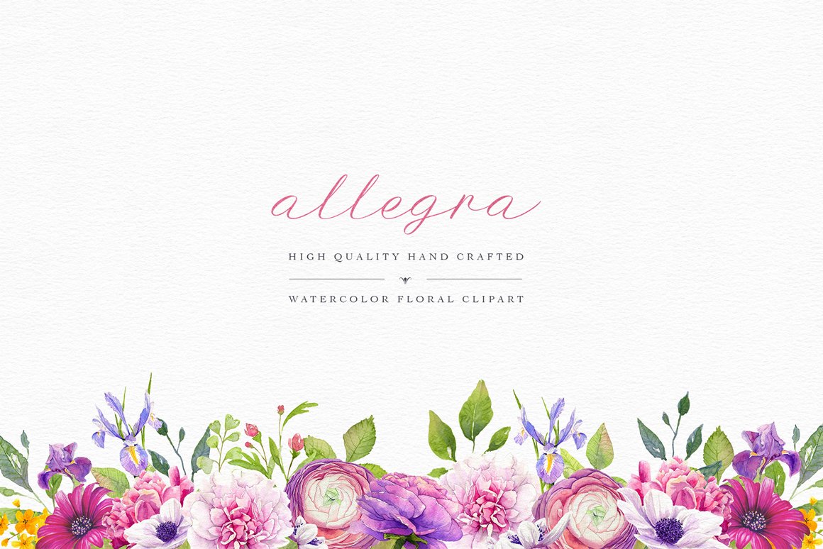 Allegra Watercolor Clipart Collection