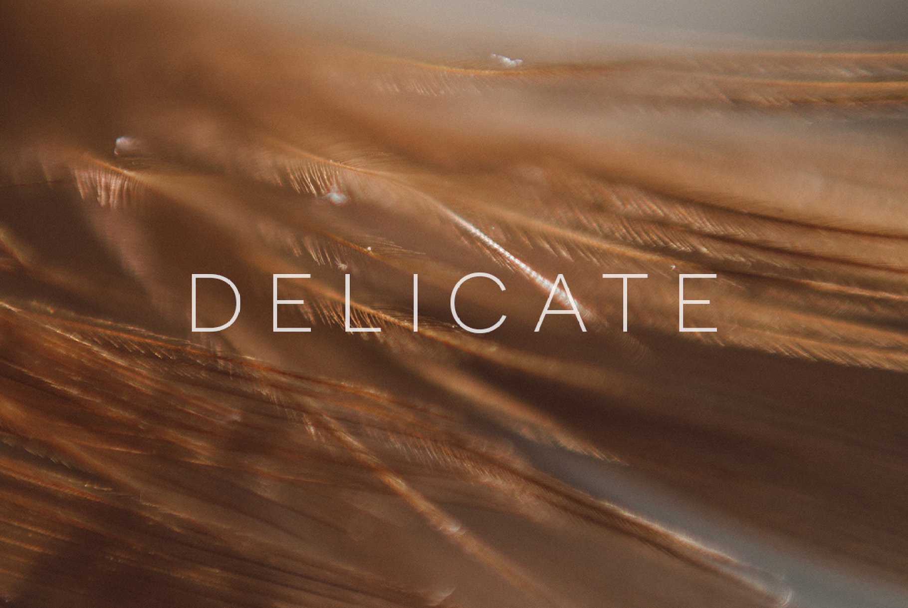 Delicate
