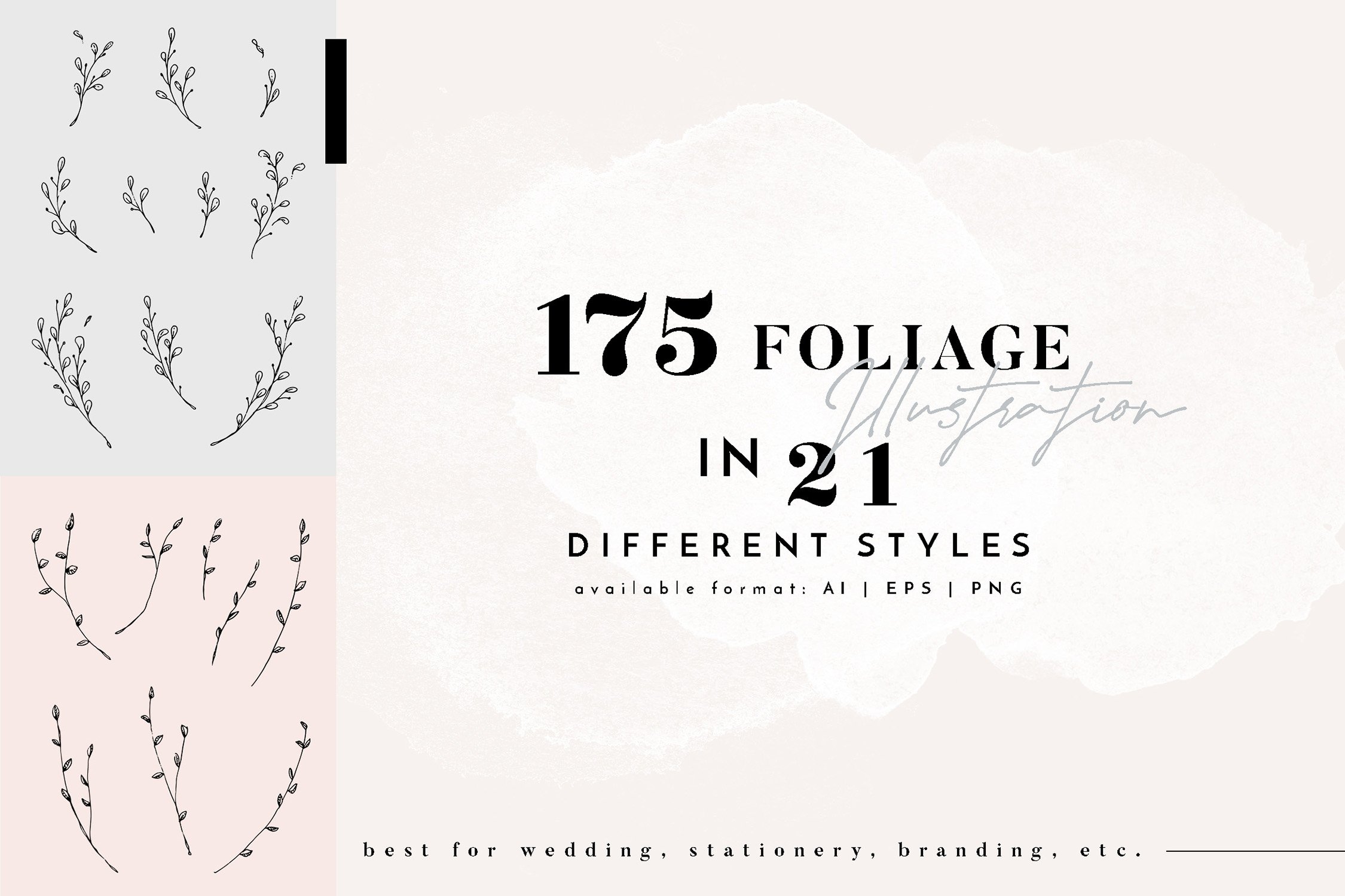 Floral Outline Illustration & Logo Pack