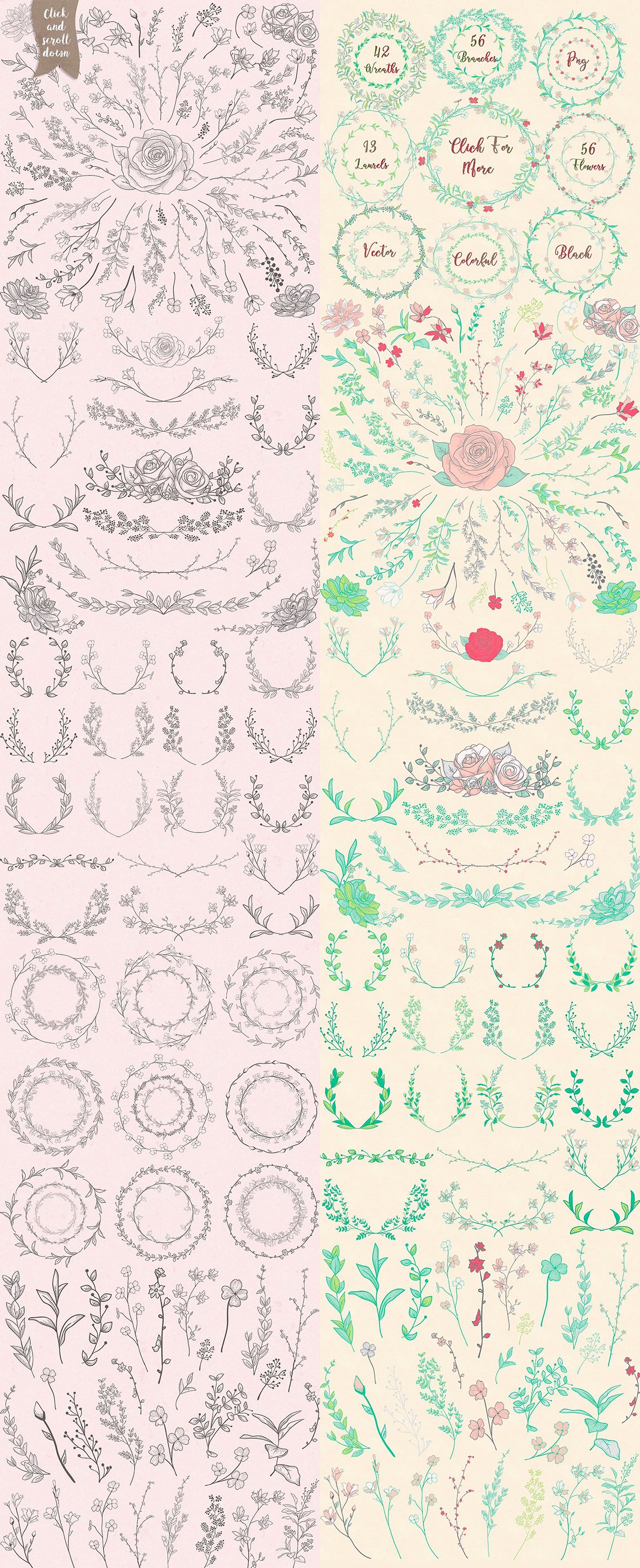 Floral Collection  - Drawn Florals, Patterns, Brushes