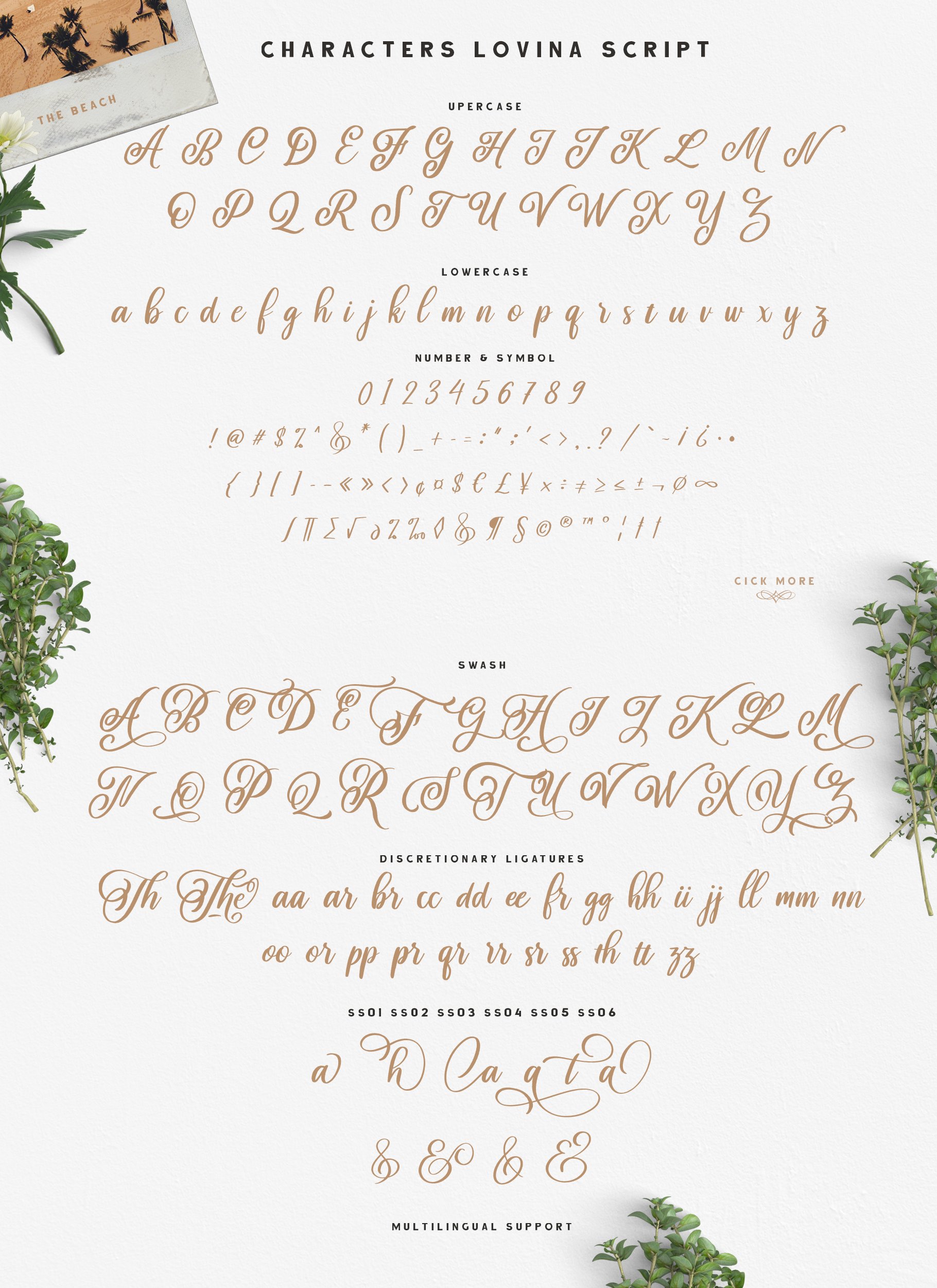 Lovina Fonts Family - Design Cuts