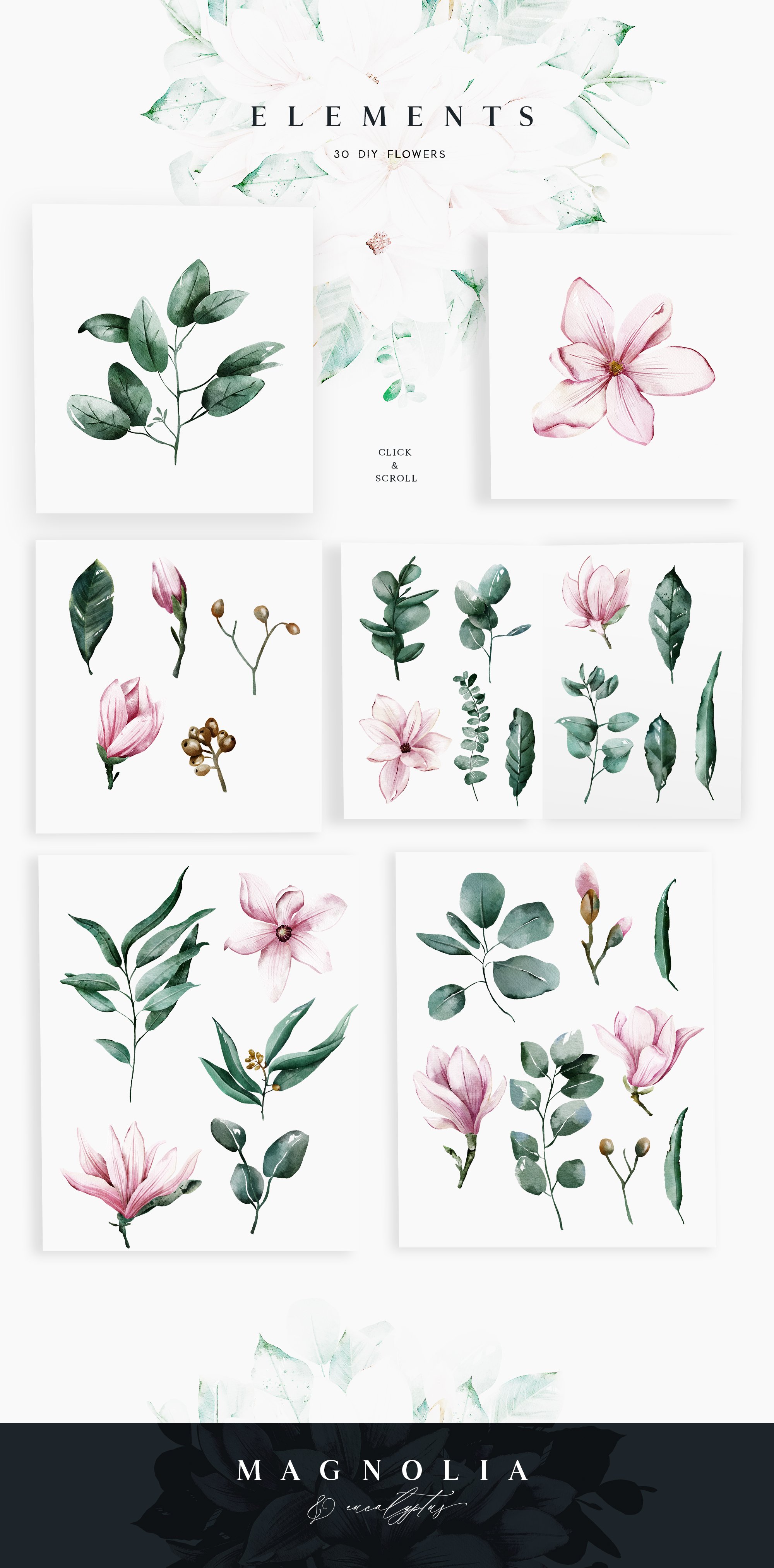 Magnolia & Eucalyptus Watercolor Set