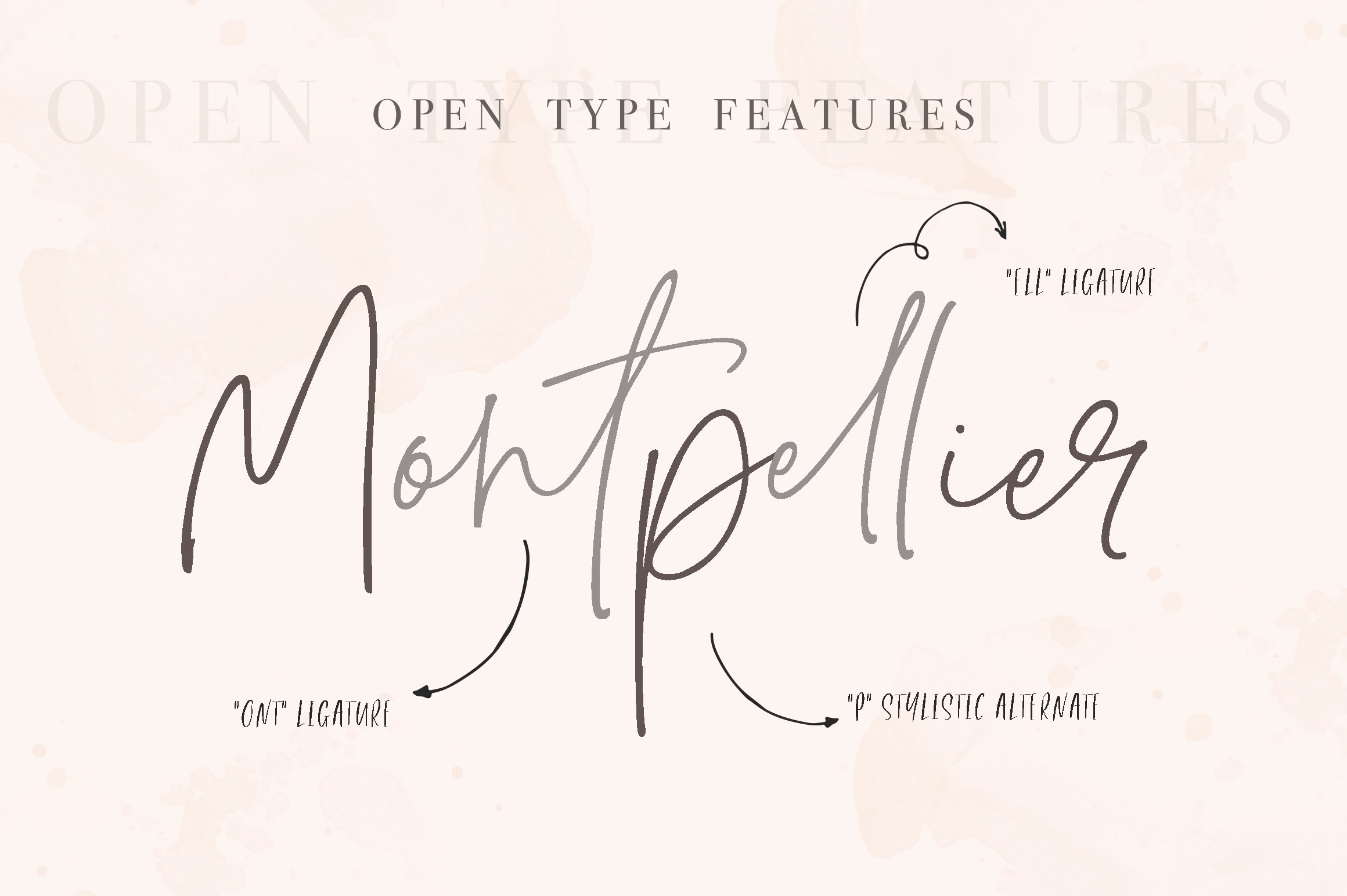 Montpellier - Signature Font