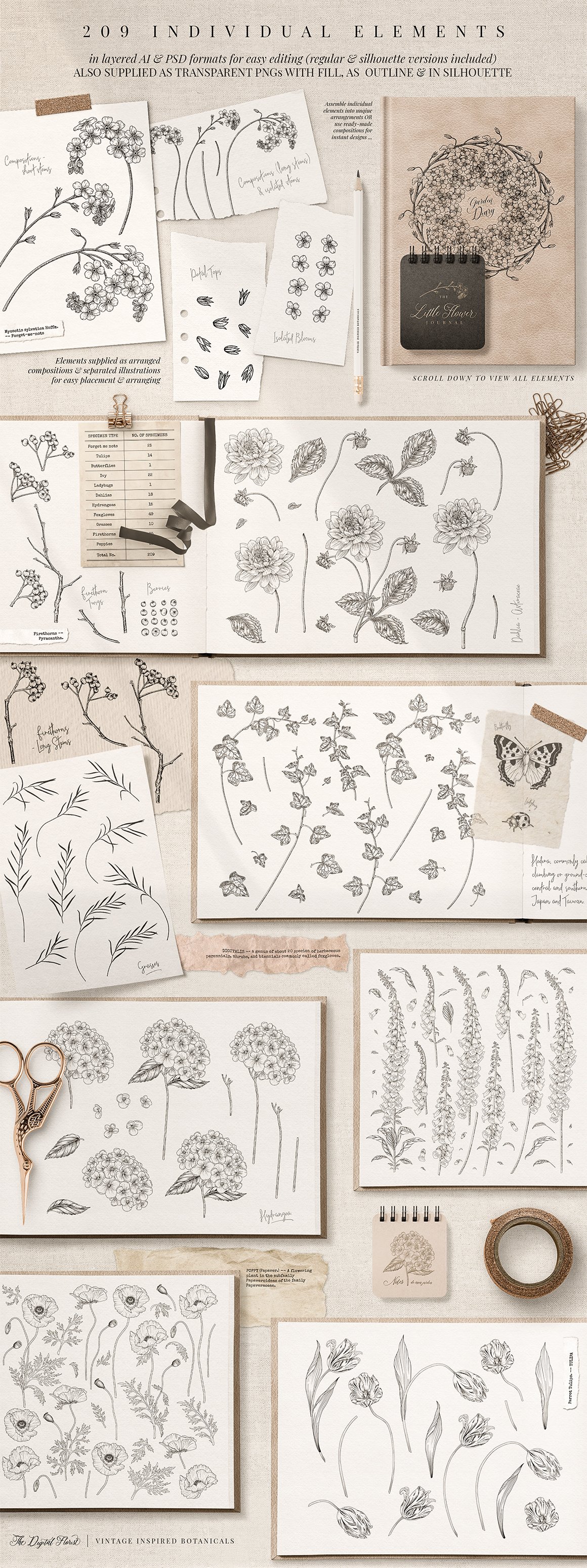 The Digital Florist - Vintage Inspired Botanicals
