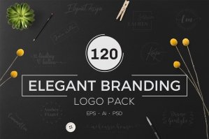 120 Elegant Branding Logo Pack