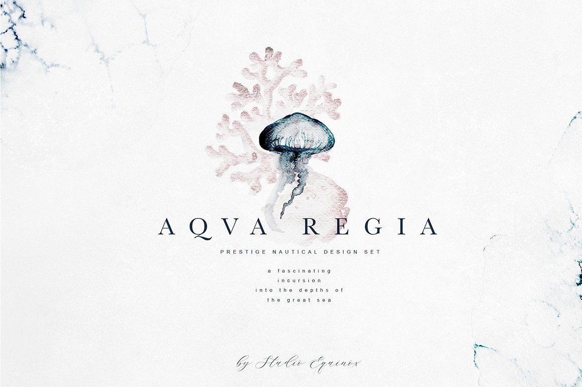 Aqva Regia - Underwater Designer Set