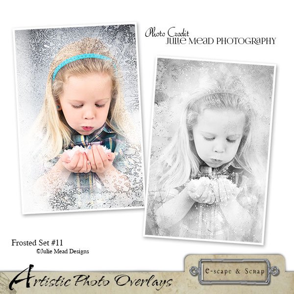 Artistic Photo Overlays 11 - Frosted