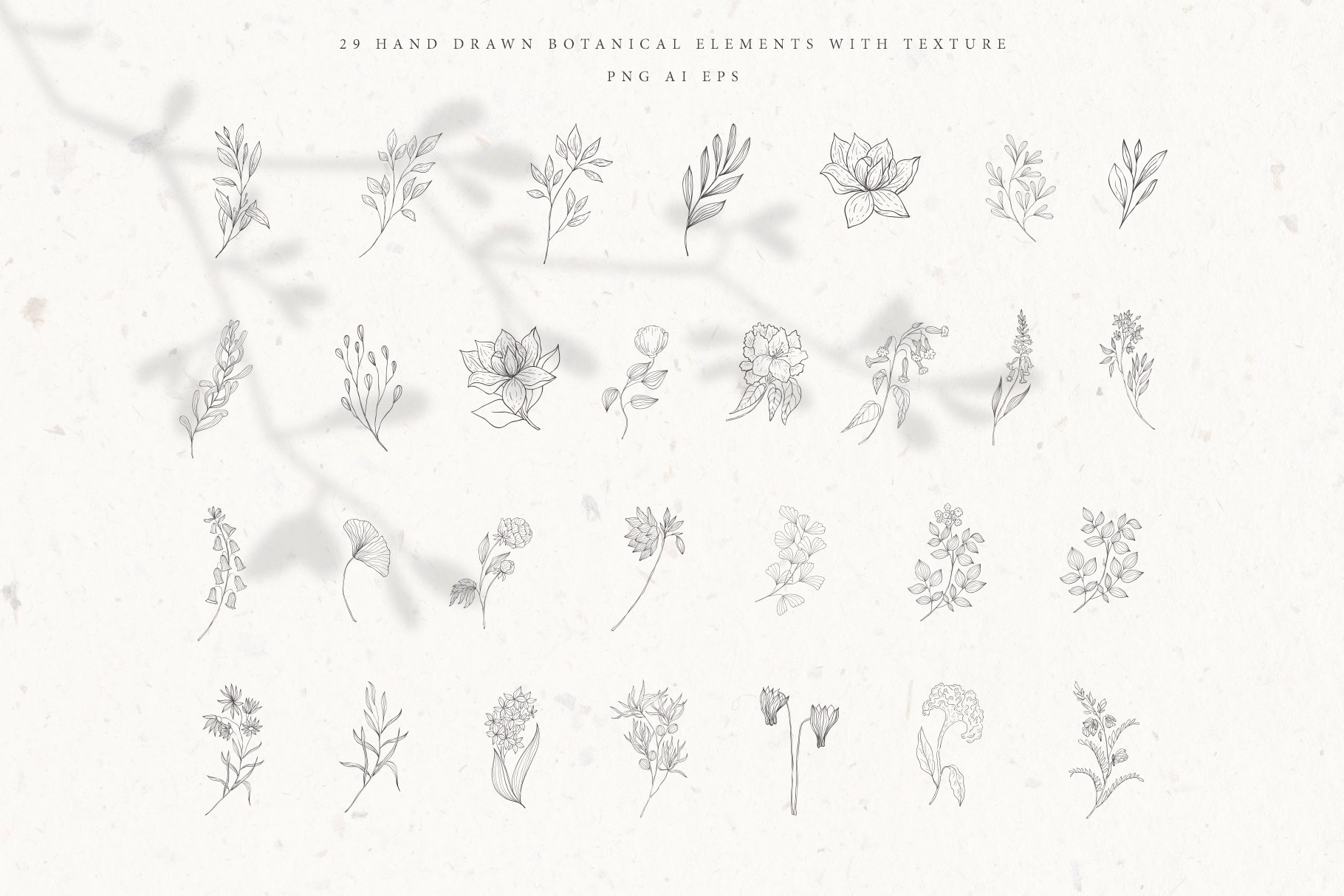 Botanical Alphabet & Monograms