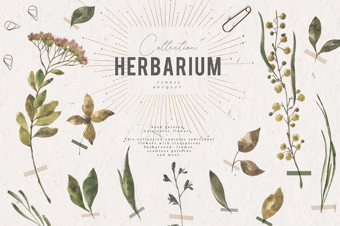 Herbarium Collection