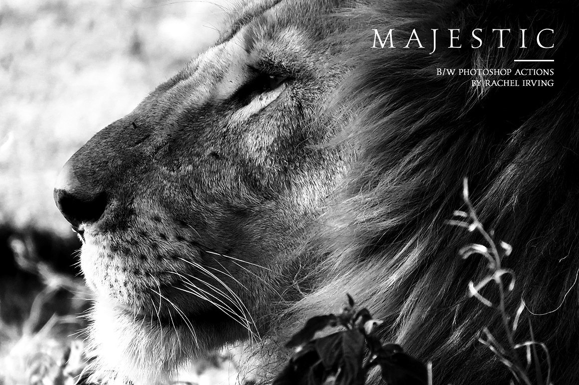 Majestic - Black & White PS Actions 