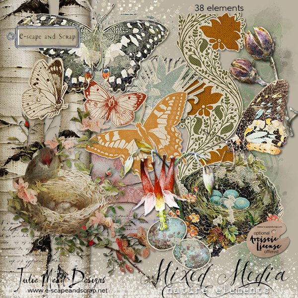 Mixed Media Nature Collection