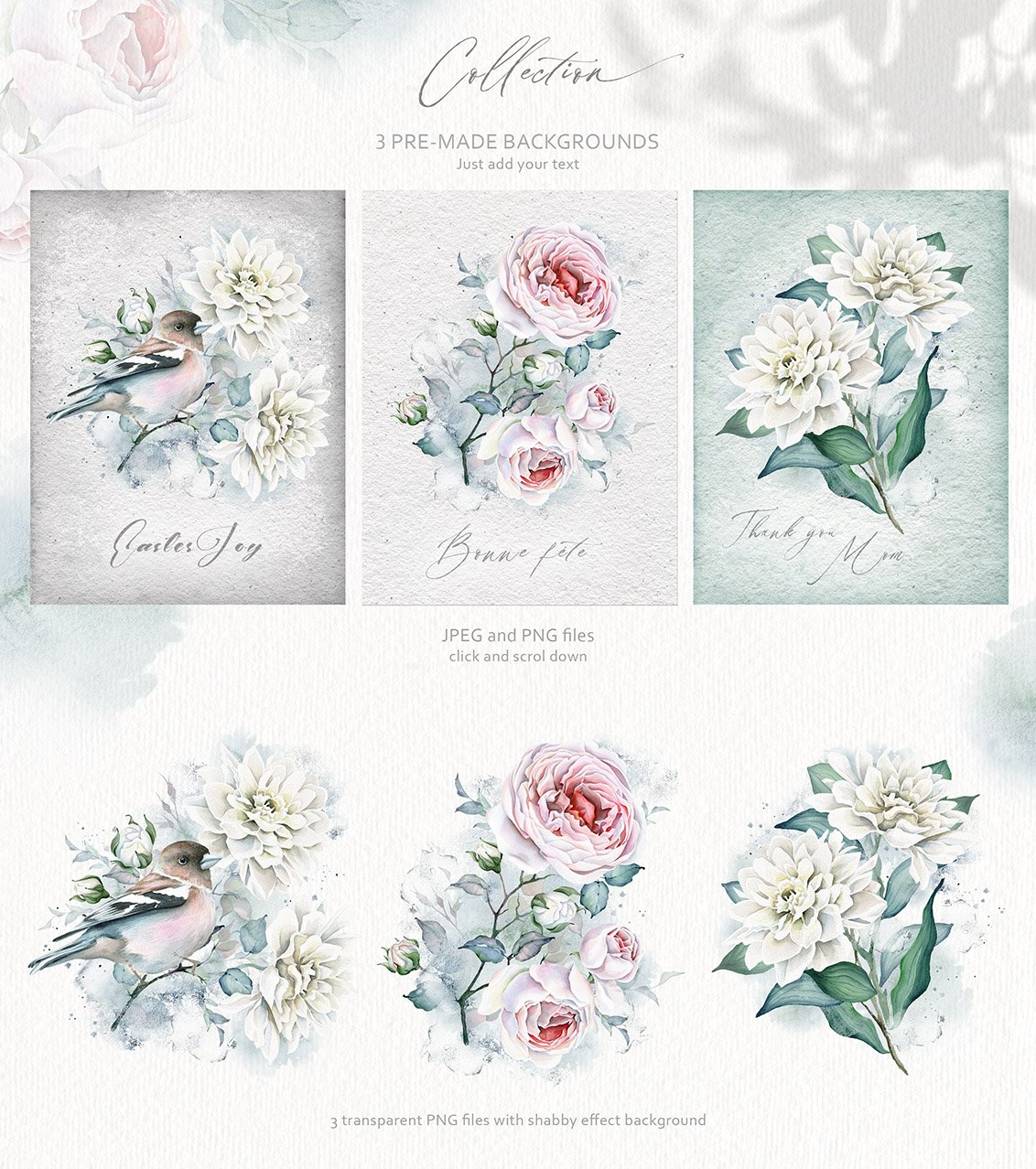 Watercolour Floral Illustrations and Alphabets