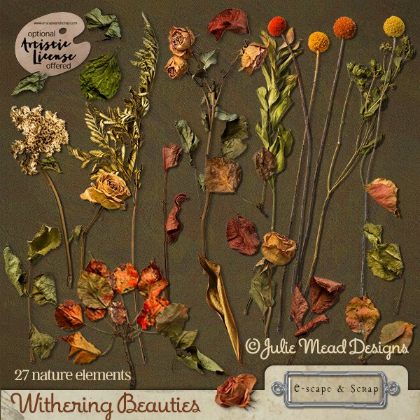 Withering Beauties