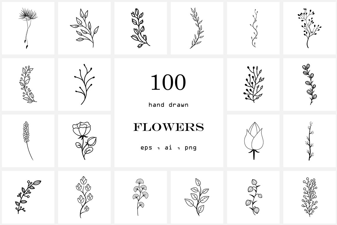 100 Hand Drawn Flowers
