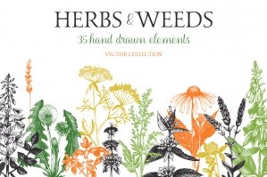 Big Herbal Bundle - 35 Elements