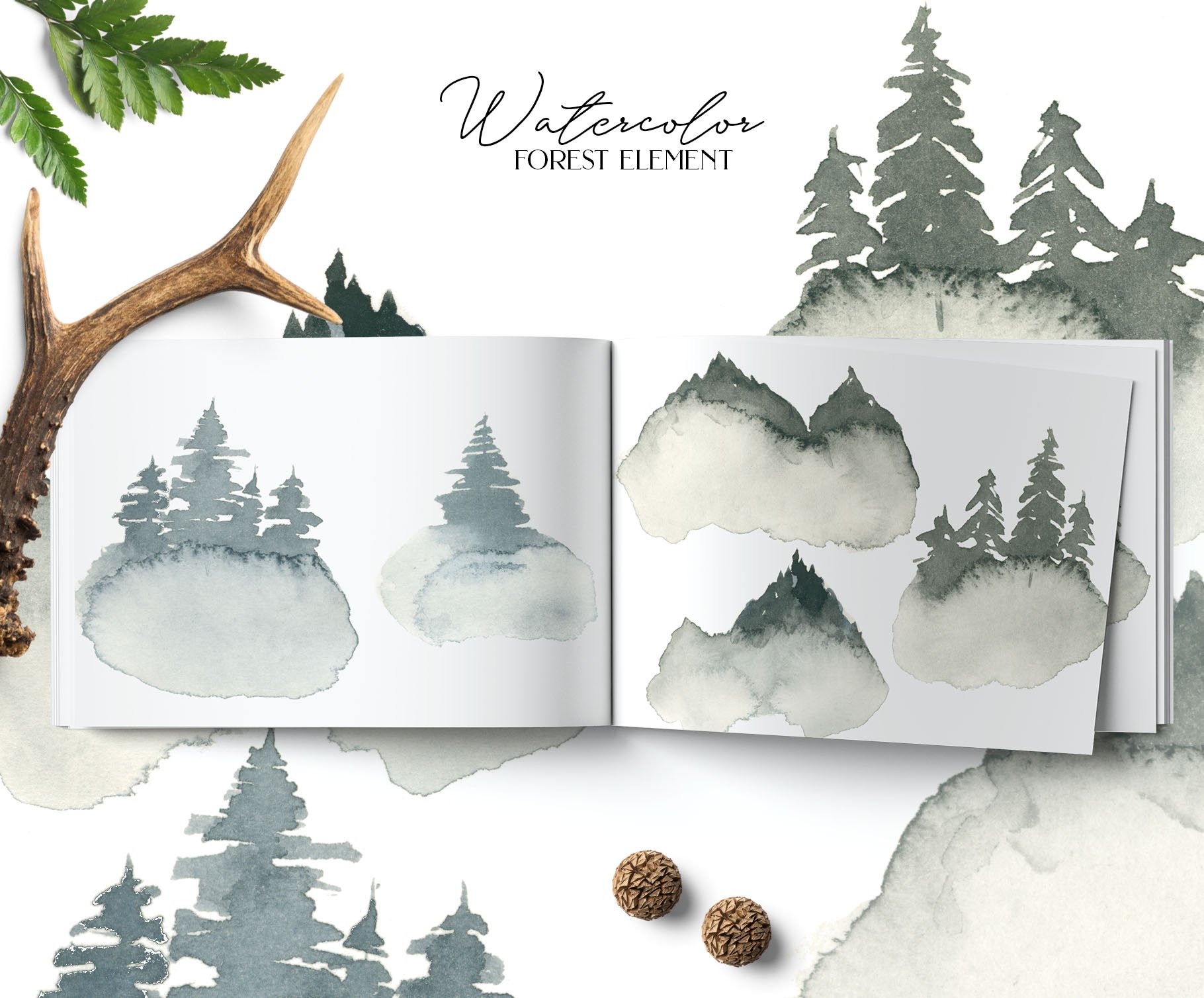 Coniferous Forest Collection