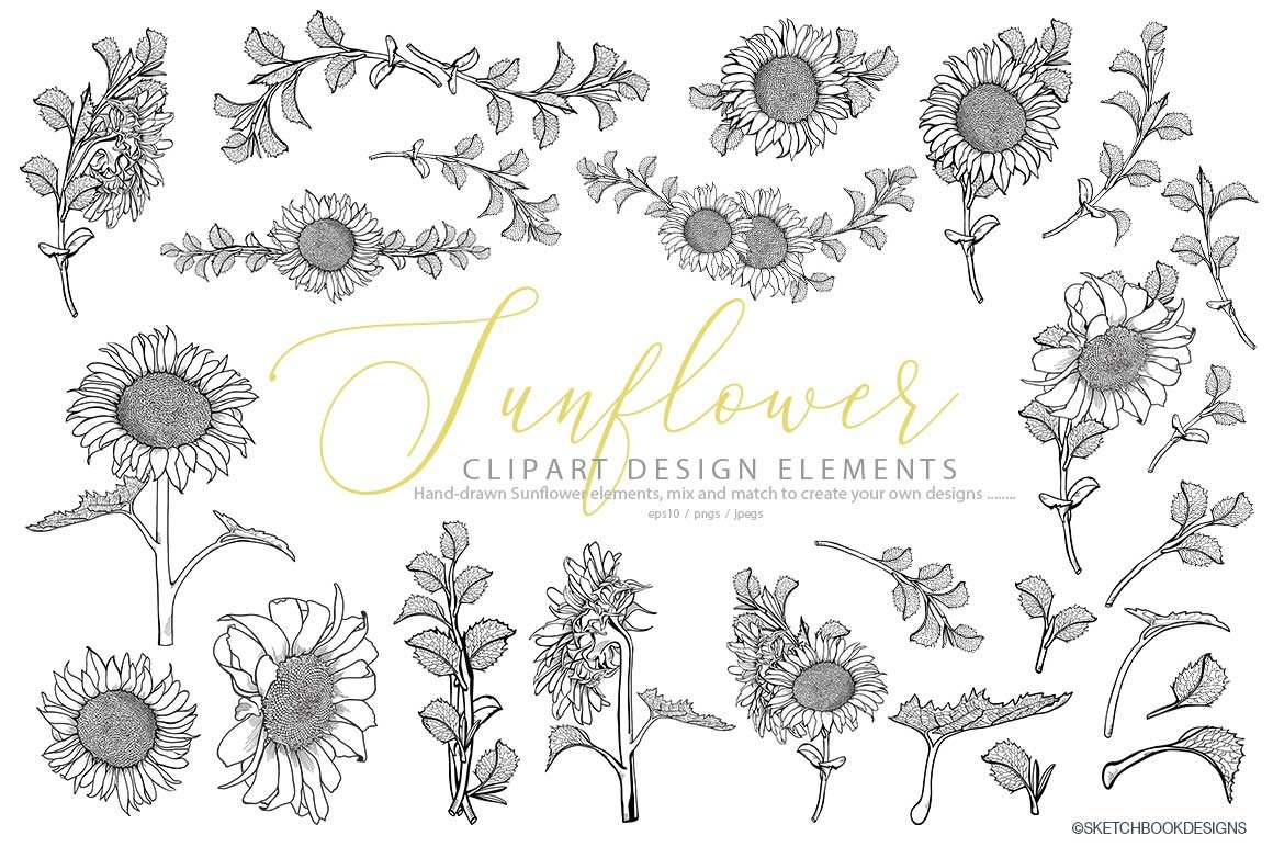 Hand Drawn Sunflower Clipart Set