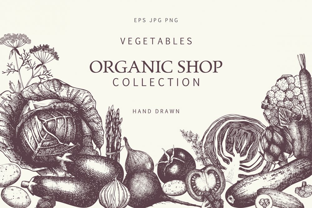 Vegetables. vector illustration © ddraw (#4483315)