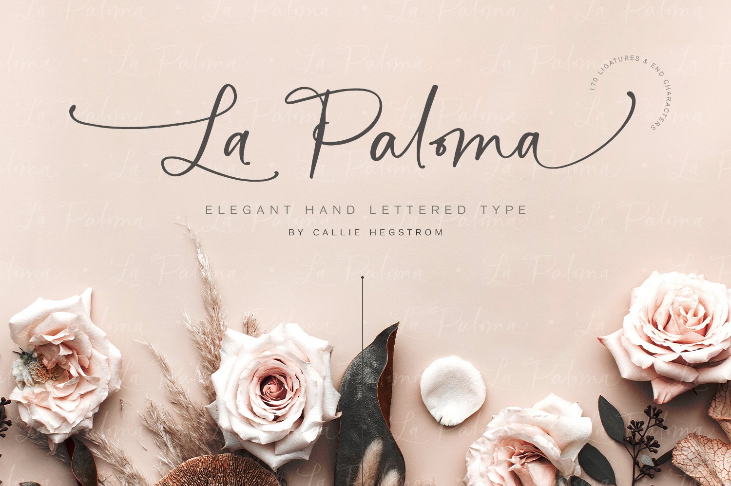 La Paloma Script And Catchwords