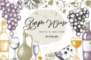 Red & White Wine Illustrations Set