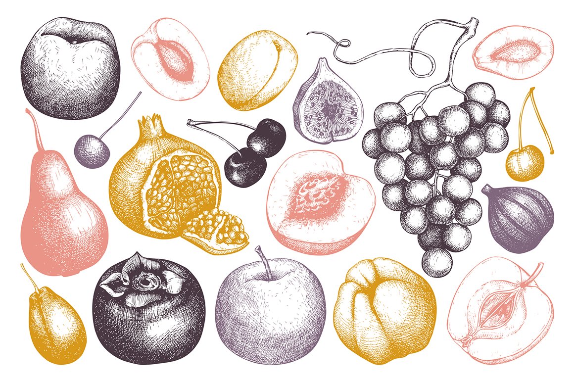 Summer Fruits Sketch Collection