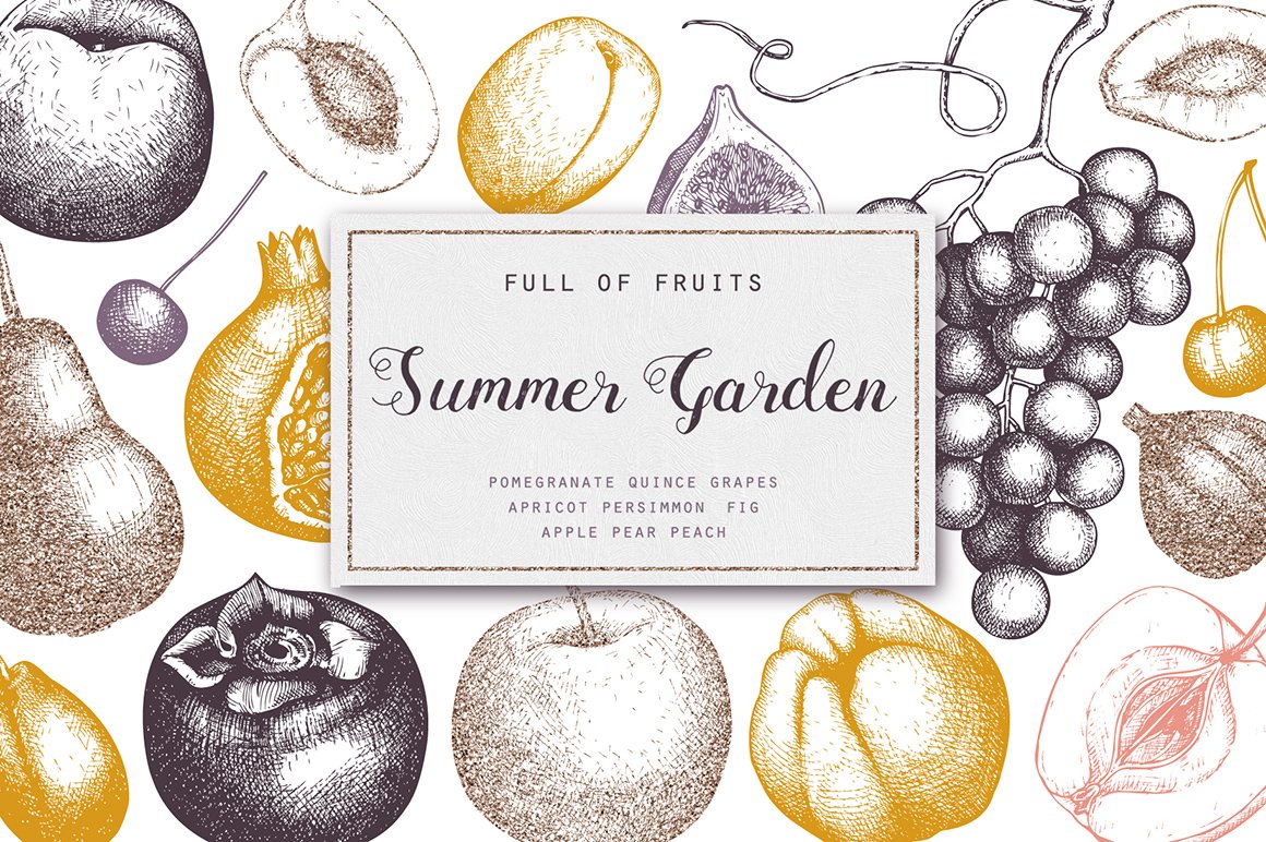 Summer Fruits Sketch Collection