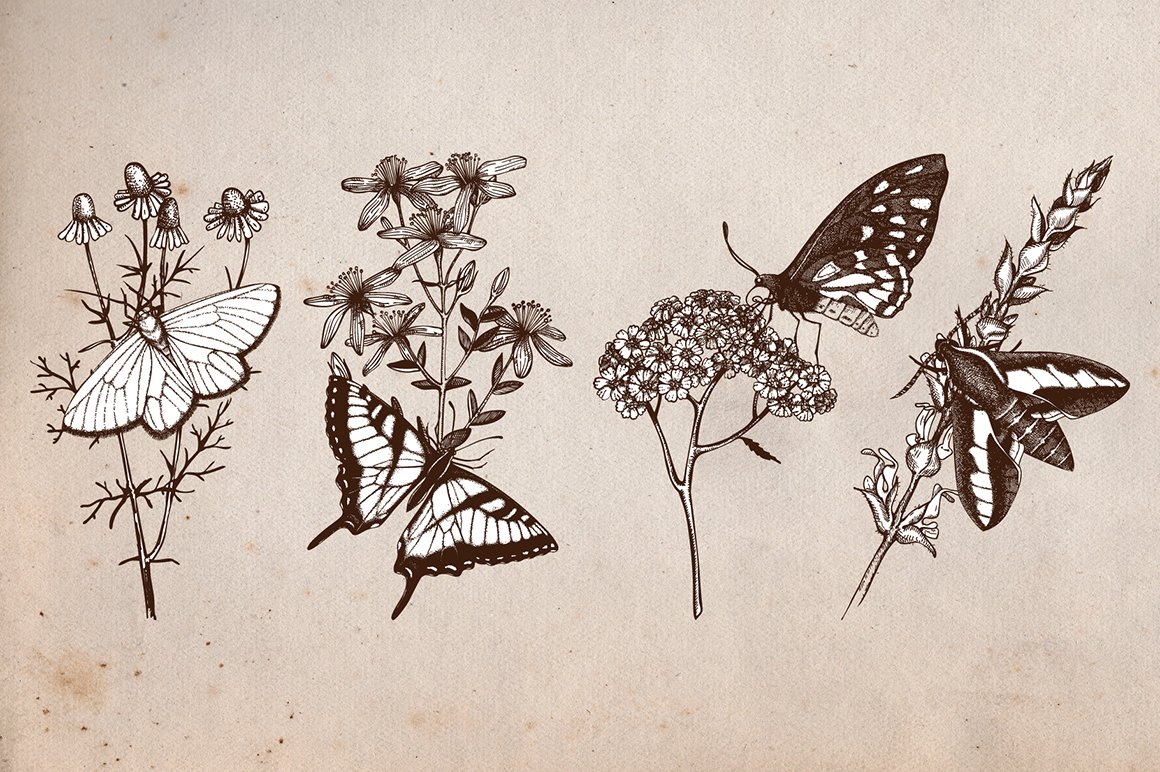 Vintage Butterflies Collection