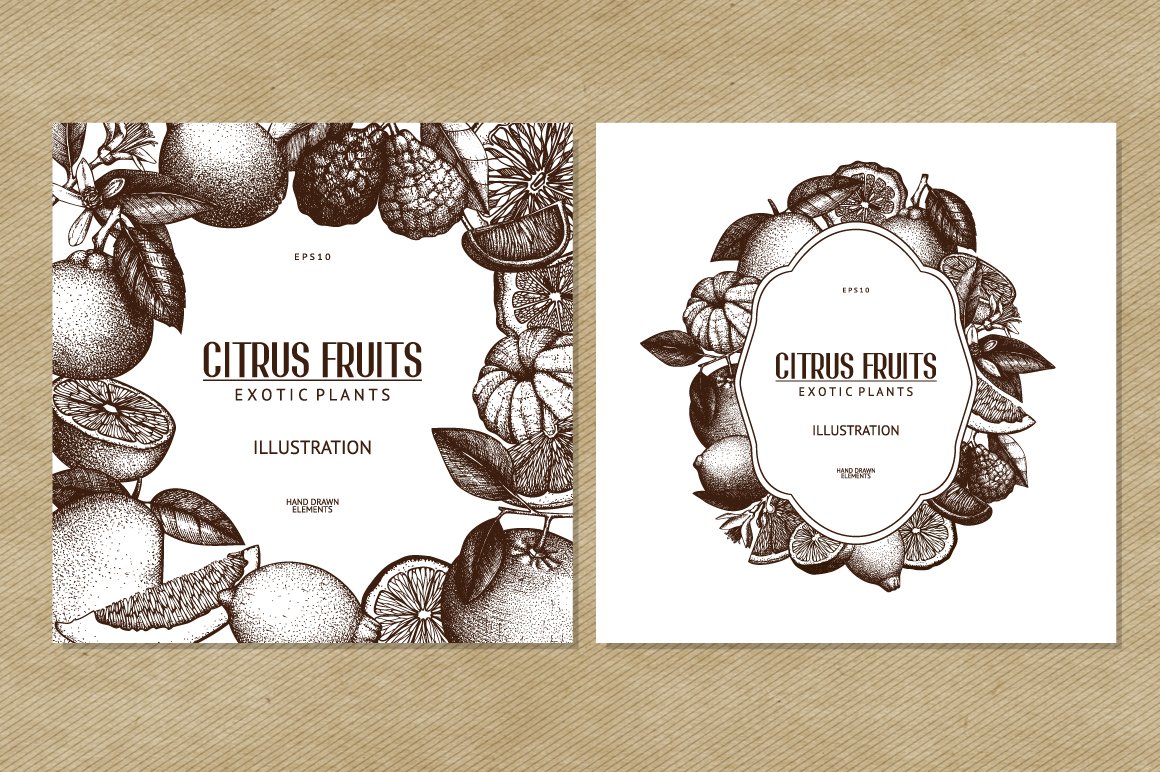 Vintage Citrus Fruits Collection