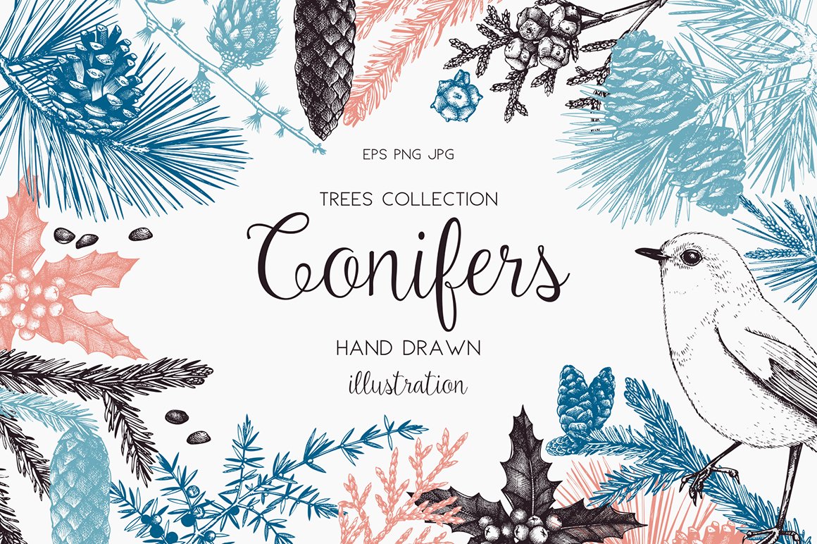 Vintage Conifers Sketch Collection