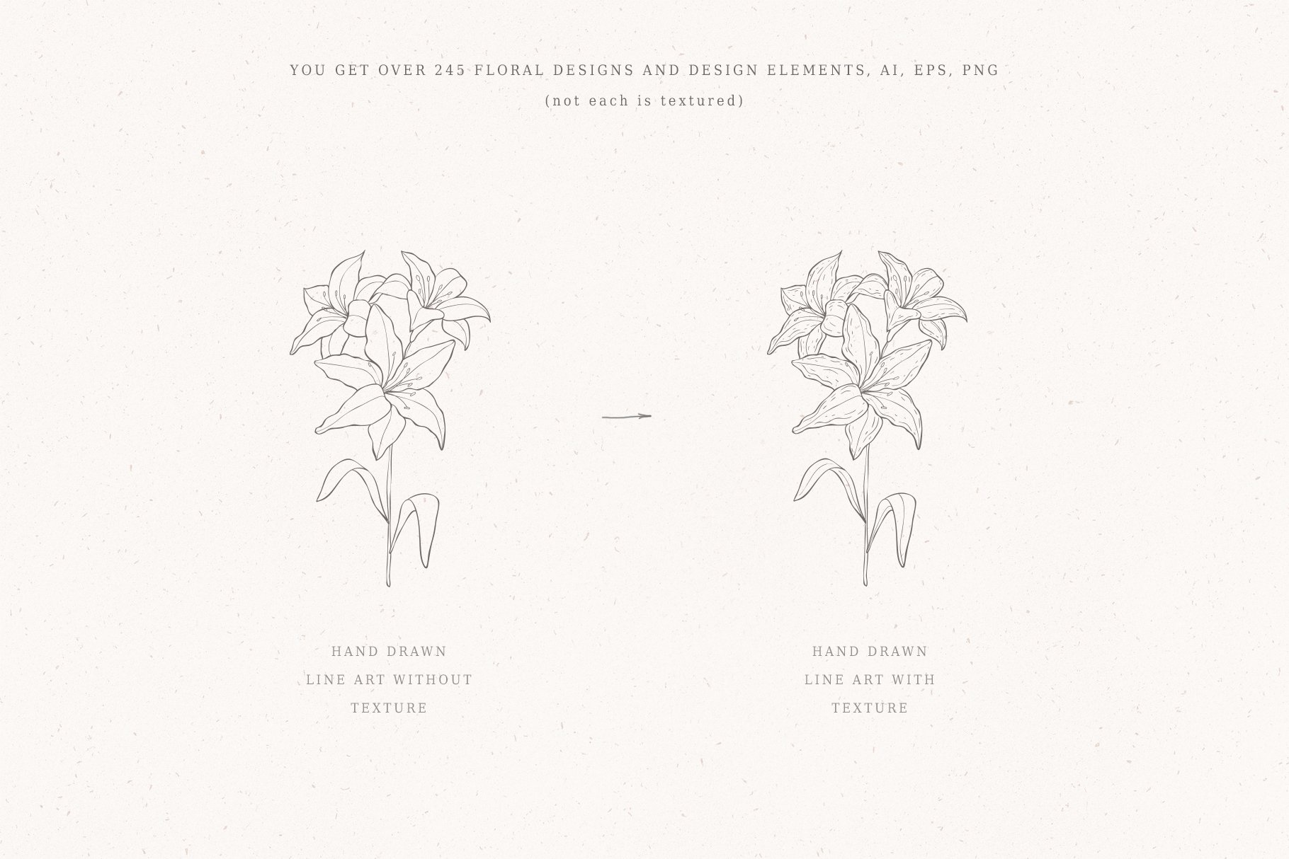 Botanical Hand Drawn Flowers Logo Frames Line Art
