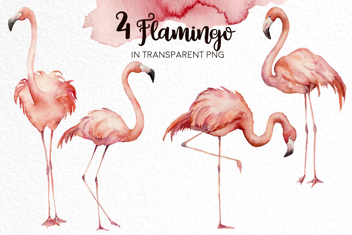 Flamingos - Watercolor Collection