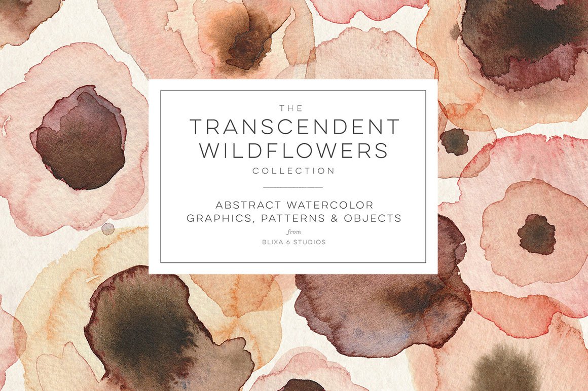 The Transcendent Wildflowers Collection