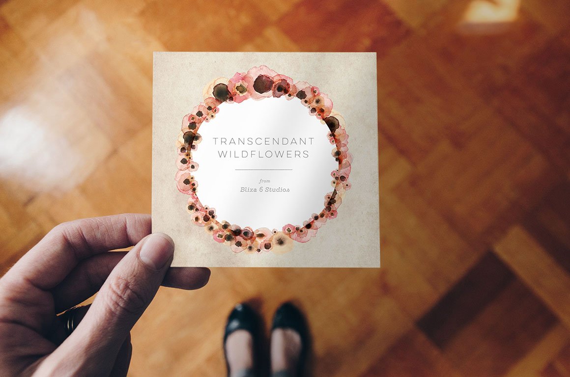 The Transcendent Wildflowers Collection