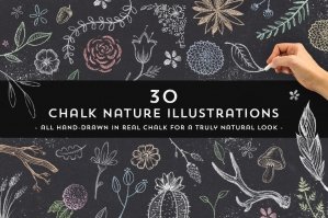 30 Chalk Nature Illustrations