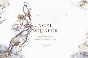 Noel Whisper