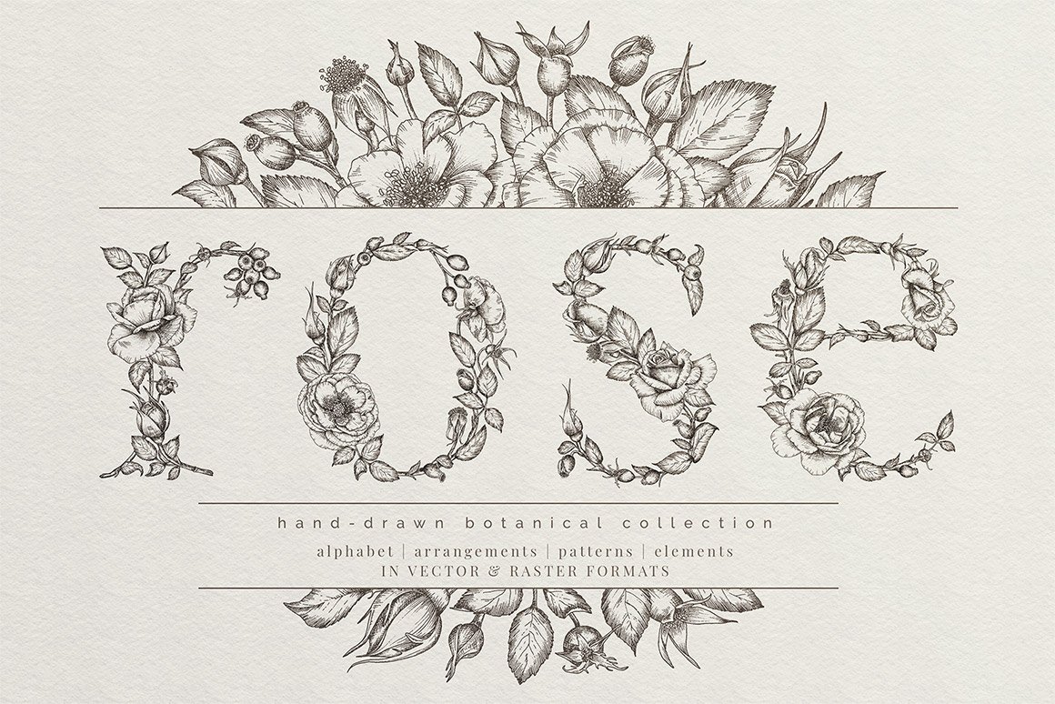 Rose - Hand Drawn Botanical Collection
