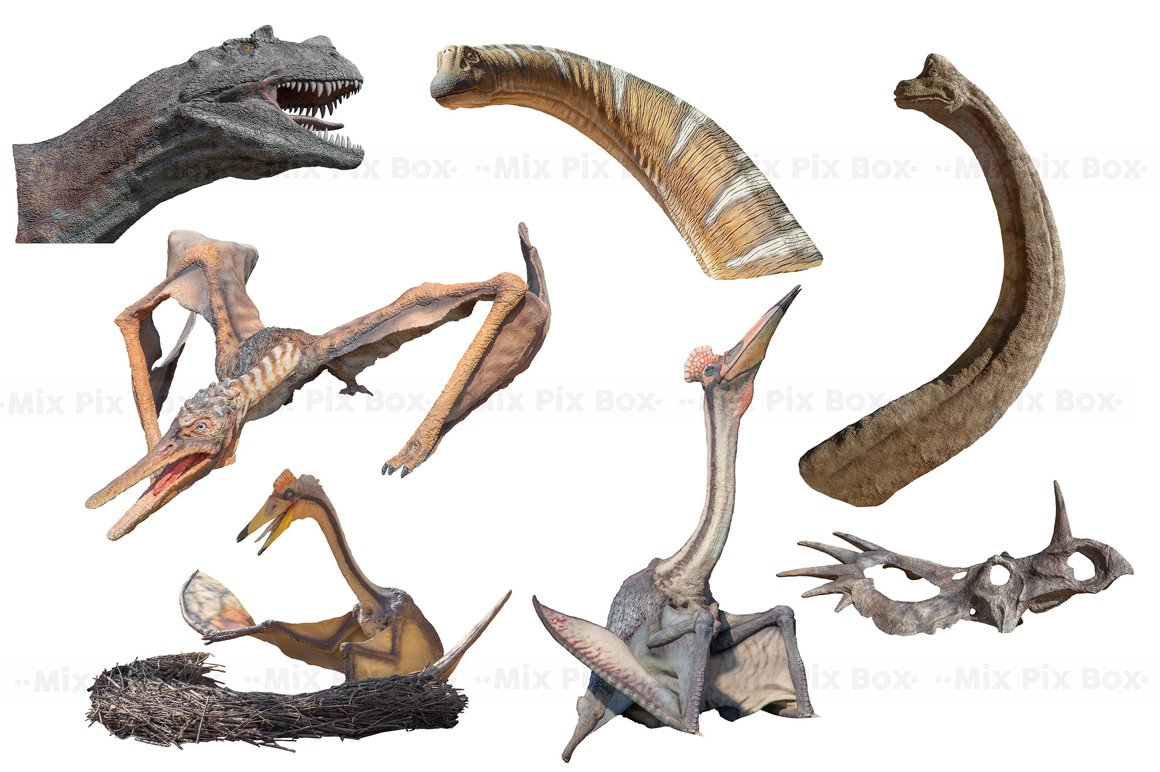 Dinosaur Photo Overlays Vol. 2