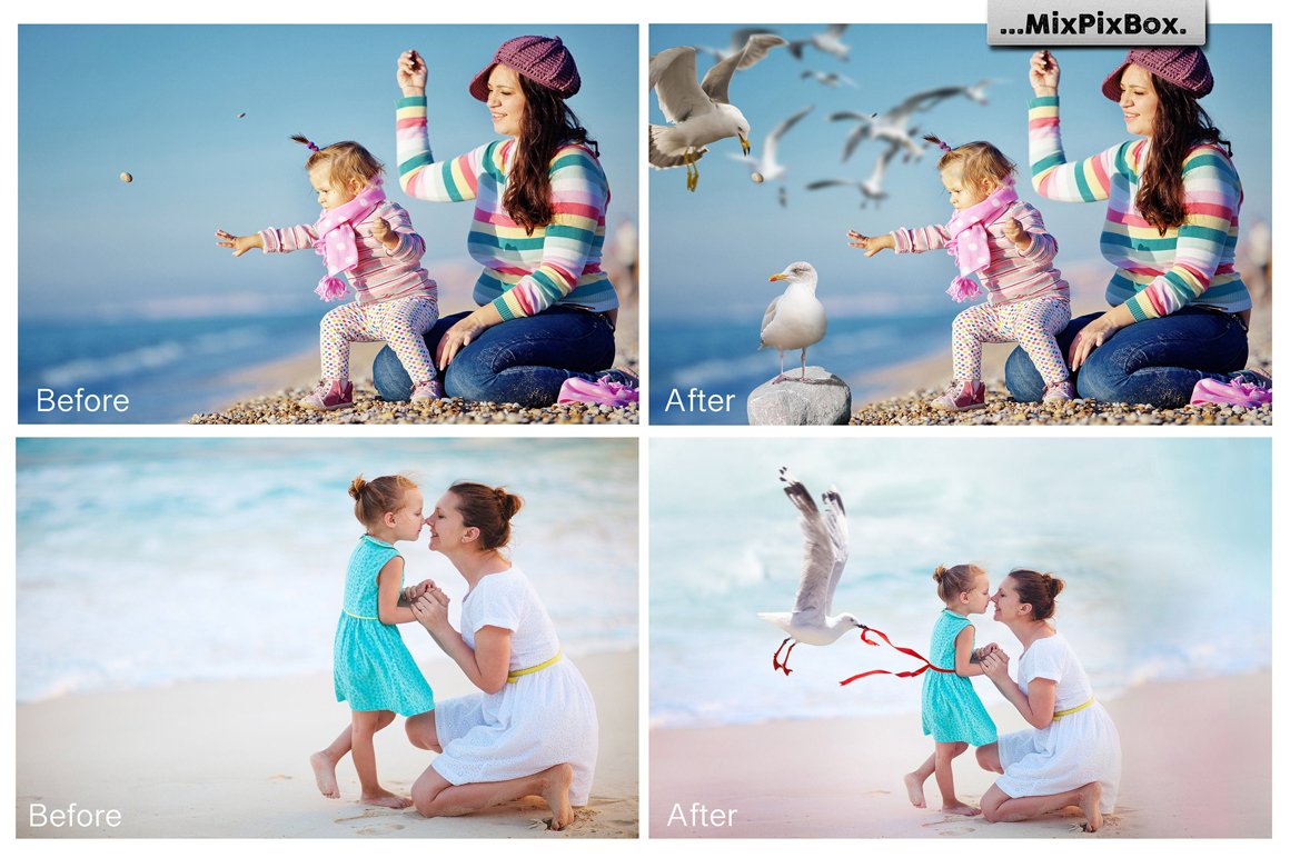 Seagulls Photo Overlays