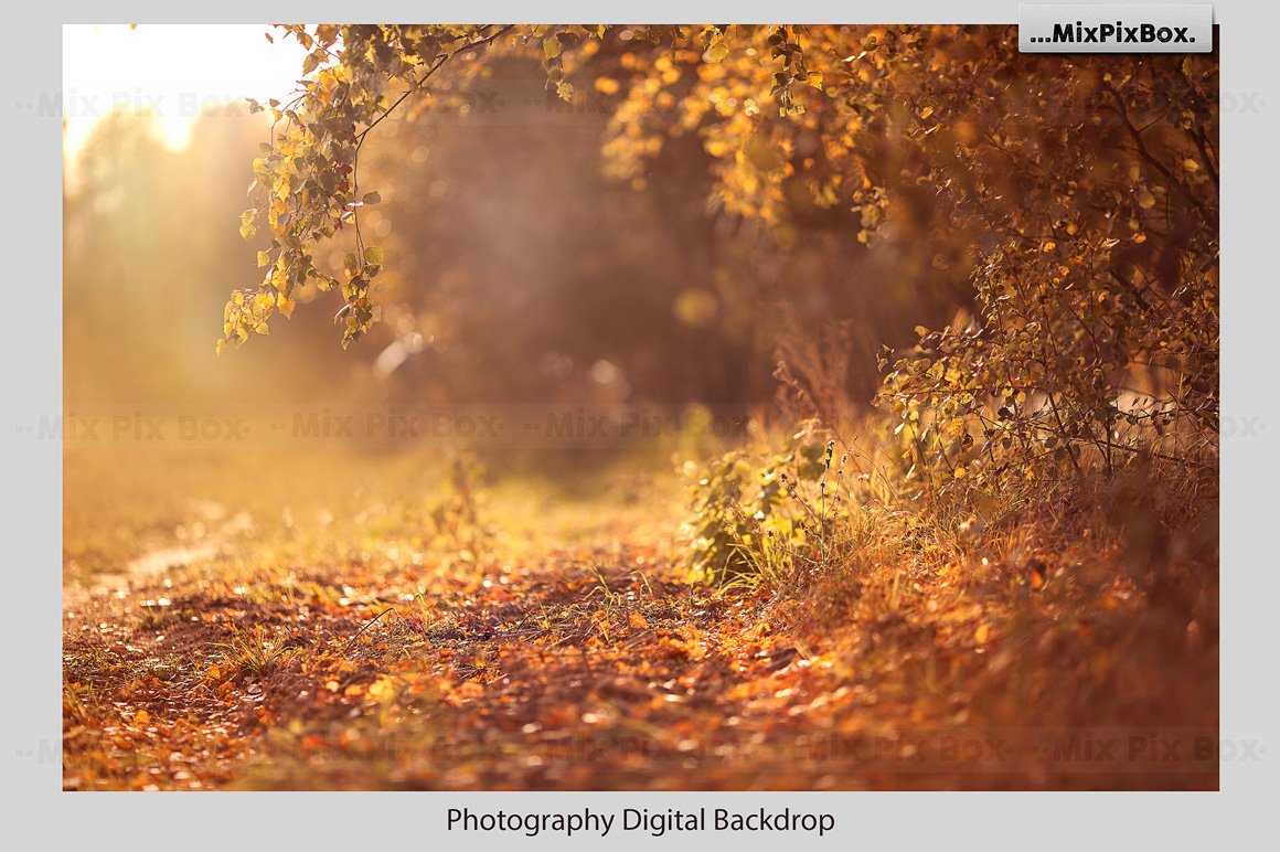Golden Autumn Backdrop