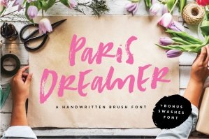 Paris Dreamer