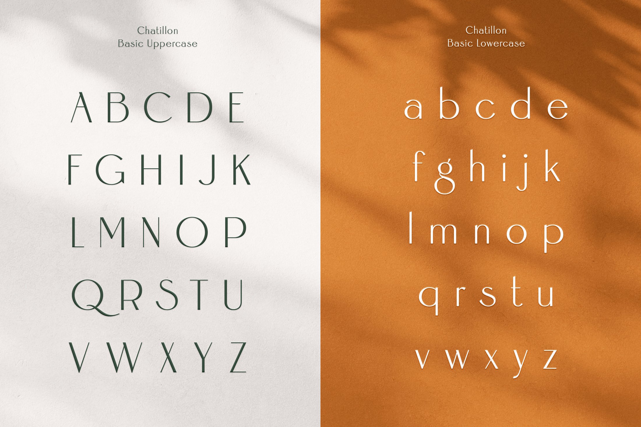 The Font Lover's Complete Versatile Collection