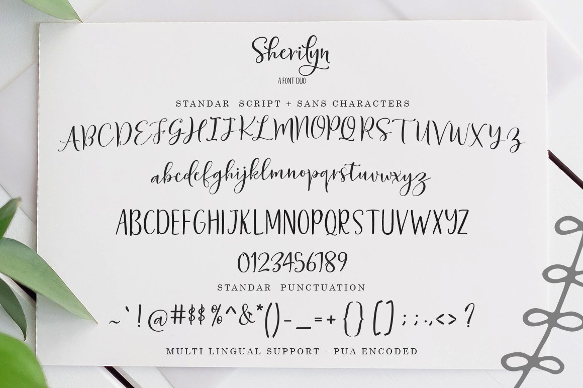 Sherilyn Script Font Duo
