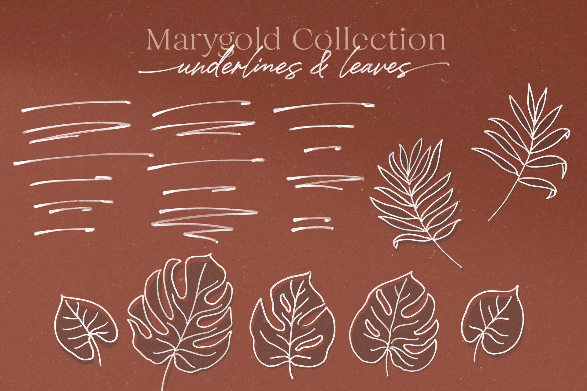 Marygold Font Duo Collection