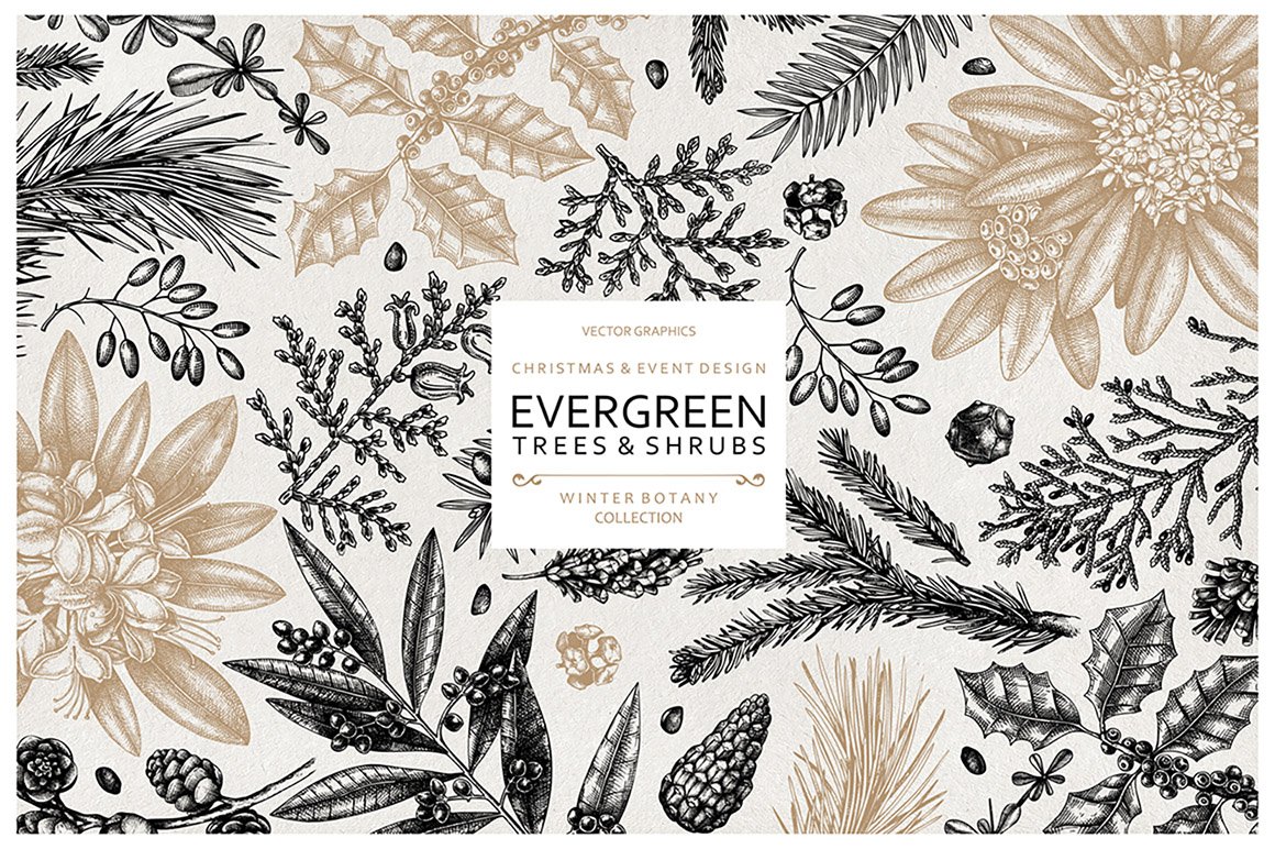 Evergreen Plants Christmas Design