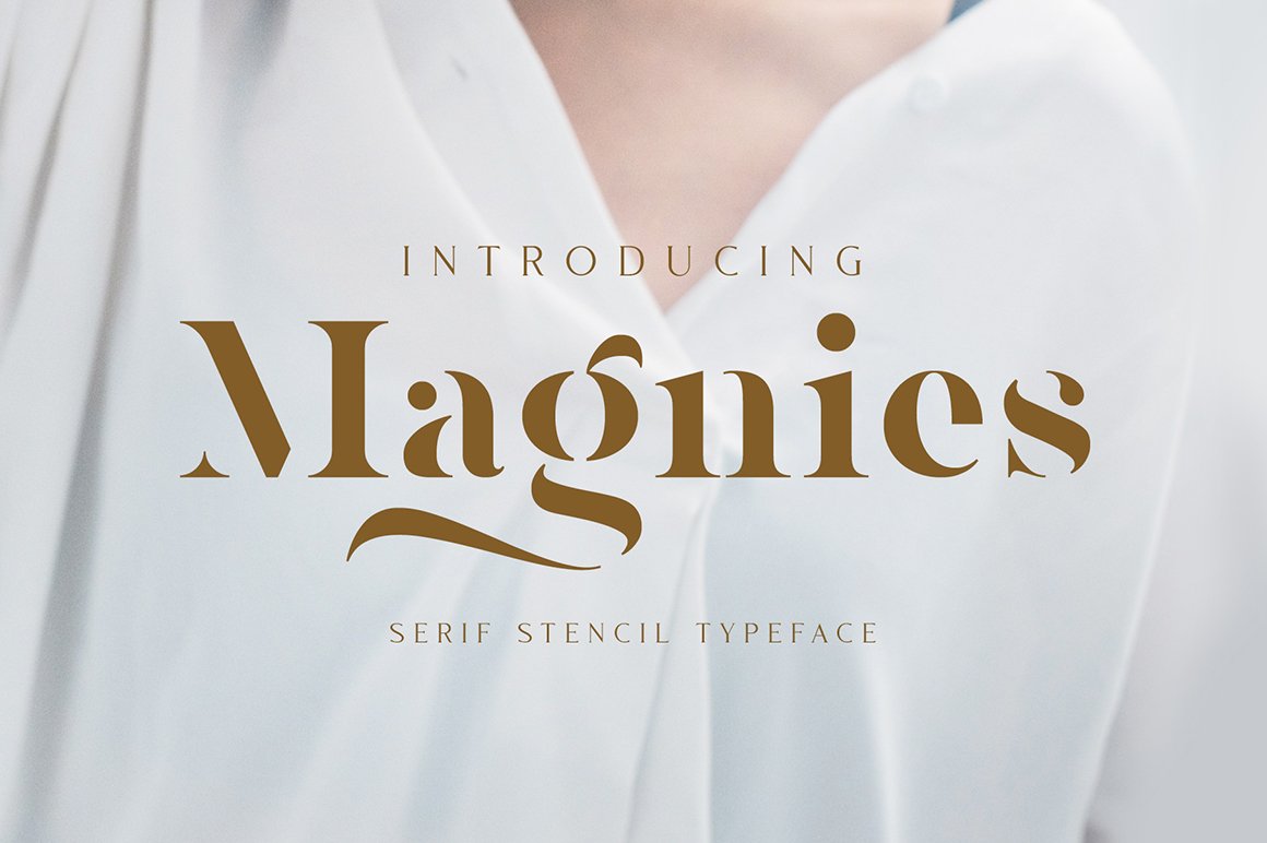 Magnies - Minimal Serif Font