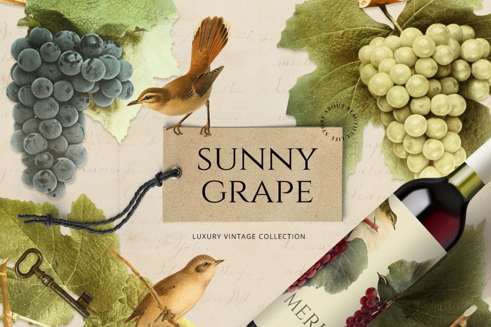 Sunny Grape – Luxury Vintage Set