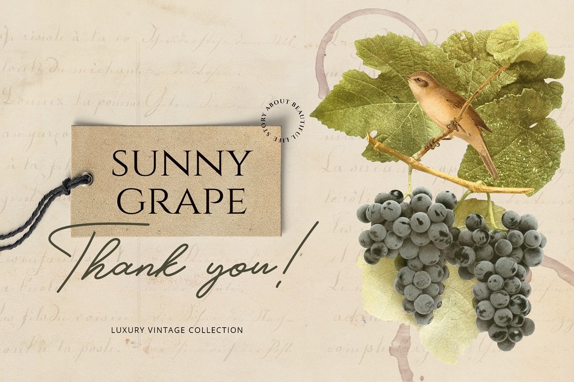 Sunny Grape - Luxury Vintage Set